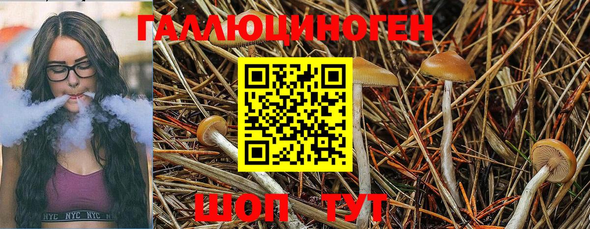 Псилоцибиновые грибы MAGIC MUSHROOMS  Вход с VPN  Скопин 